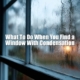 What To Do When You Find Window Condensation In Your Savannah Home.